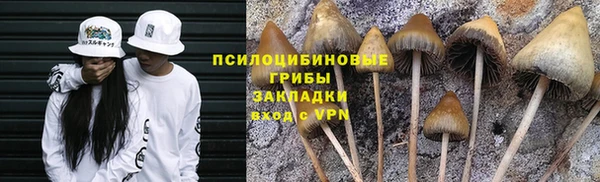 прущая мука Бугульма